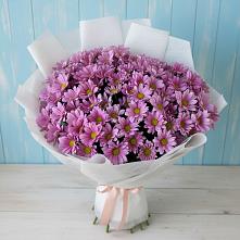 Букет цветов из:  Хризантемы в Балахоновском