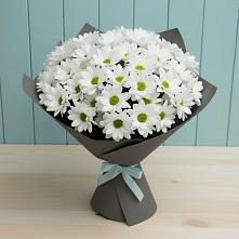 Букет цветов из:  Хризантемы #REPLACE_PRED# Балахоновском